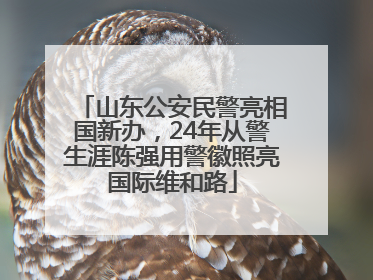山东公安民警亮相国新办，24年从警生涯陈强用警徽照亮国际维和路