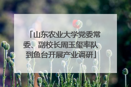 山东农业大学党委常委、副校长周玉玺率队到鱼台开展产业调研
