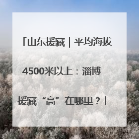 山东援藏｜平均海拔4500米以上：淄博援藏“高”在哪里？