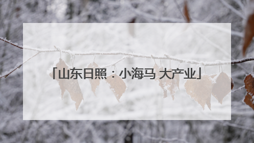 山东日照：小海马 大产业