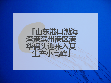 山东港口渤海湾港滨州港区港华码头迎来入夏生产小高峰