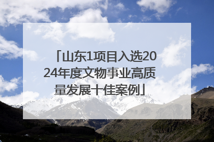 山东1项目入选2024年度文物事业高质量发展十佳案例