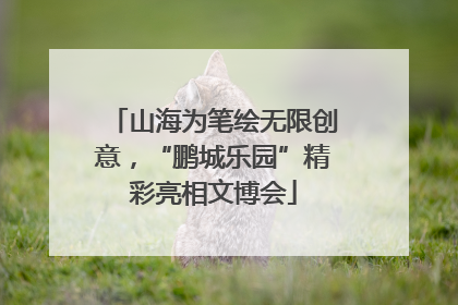 山海为笔绘无限创意，“鹏城乐园”精彩亮相文博会