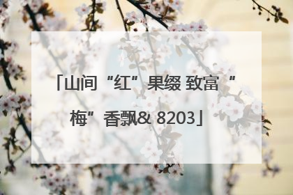 山间“红”果缀 致富“梅”香飘& 8203