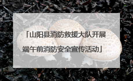 山阳县消防救援大队开展端午前消防安全宣传活动