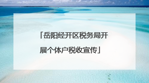岳阳经开区税务局开展个体户税收宣传