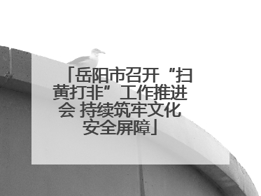 岳阳市召开“扫黄打非”工作推进会 持续筑牢文化安全屏障