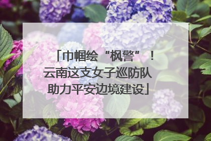 巾帼绘“枫警”！云南这支女子巡防队助力平安边境建设