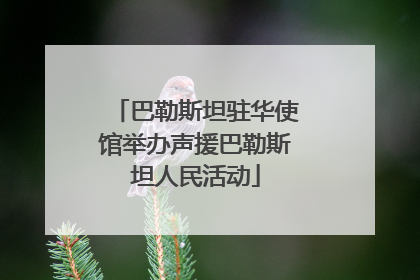 巴勒斯坦驻华使馆举办声援巴勒斯坦人民活动