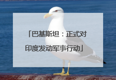巴基斯坦：正式对印度发动军事行动