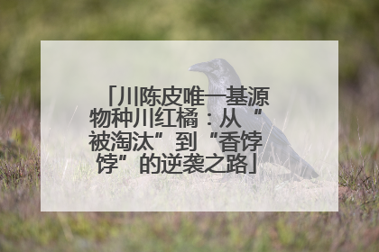 川陈皮唯一基源物种川红橘：从“被淘汰”到“香饽饽”的逆袭之路