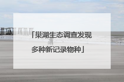 巢湖生态调查发现多种新记录物种