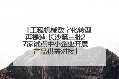 工程机械数字化转型再提速 长沙第三批27家试点中小企业开展产品供需对接