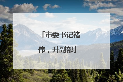 市委书记褚伟，升副部