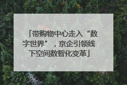 带购物中心走入“数字世界”，京企引领线下空间数智化变革