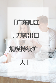 广东阳江：刀剪出口规模持续扩大