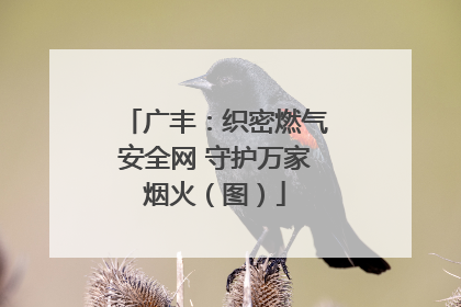 广丰：织密燃气安全网 守护万家烟火（图）