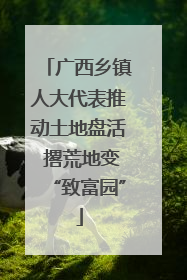广西乡镇人大代表推动土地盘活 撂荒地变“致富园”