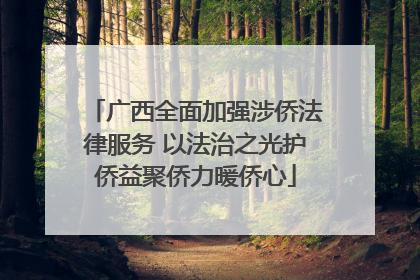 广西全面加强涉侨法律服务 以法治之光护侨益聚侨力暖侨心