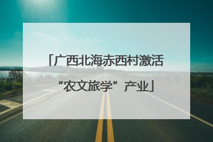 广西北海赤西村激活“农文旅学”产业