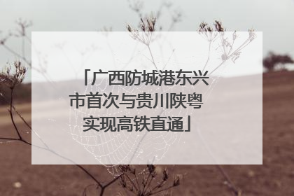广西防城港东兴市首次与贵川陕粤实现高铁直通