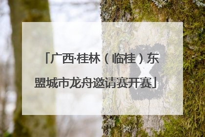 广西·桂林（临桂）东盟城市龙舟邀请赛开赛