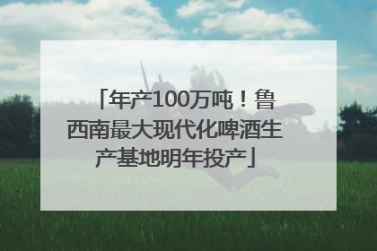 年产100万吨！鲁西南最大现代化啤酒生产基地明年投产