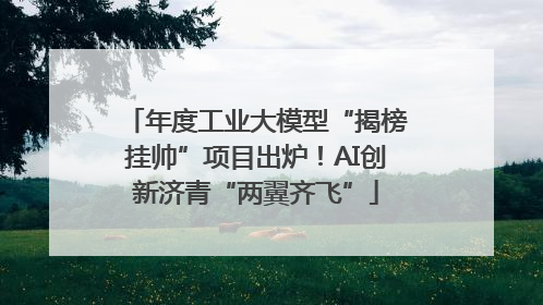 年度工业大模型“揭榜挂帅”项目出炉！AI创新济青“两翼齐飞”