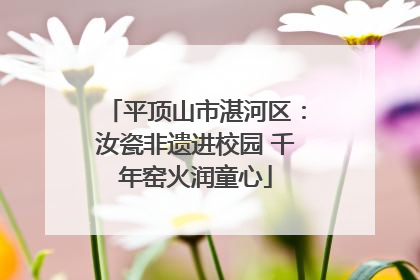 平顶山市湛河区：汝瓷非遗进校园 千年窑火润童心
