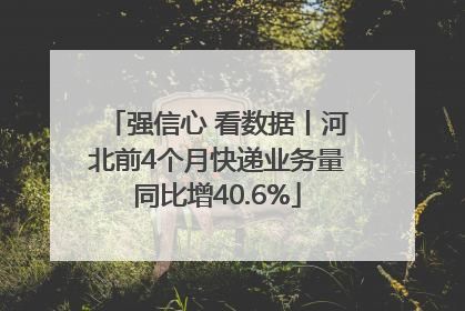 强信心 看数据丨河北前4个月快递业务量同比增40.6%
