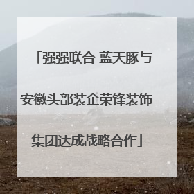 强强联合 蓝天豚与安徽头部装企荣锋装饰集团达成战略合作