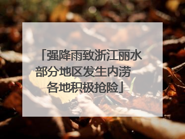 强降雨致浙江丽水部分地区发生内涝 各地积极抢险