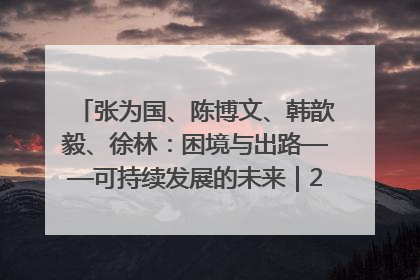 张为国、陈博文、韩歆毅、徐林：困境与出路——可持续发展的未来｜2025IFCII