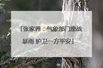 张家界：气象部门鏖战暴雨 护卫一方平安