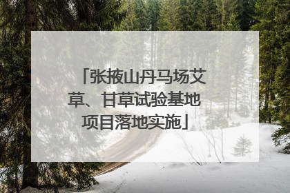 张掖山丹马场艾草、甘草试验基地项目落地实施