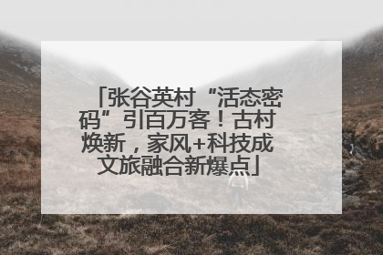 张谷英村“活态密码”引百万客！古村焕新，家风+科技成文旅融合新爆点