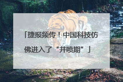 捷报频传！中国科技仿佛进入了“井喷期”