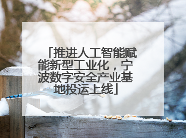 推进人工智能赋能新型工业化，宁波数字安全产业基地投运上线