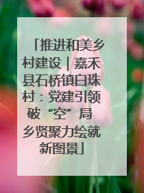 推进和美乡村建设｜嘉禾县石桥镇白珠村：党建引领破“空”局 乡贤聚力绘就新图景