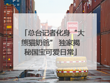 总台记者化身“大熊猫奶爸” 独家揭秘国宝可爱日常