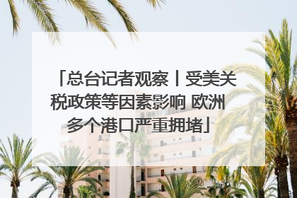 总台记者观察丨受美关税政策等因素影响 欧洲多个港口严重拥堵