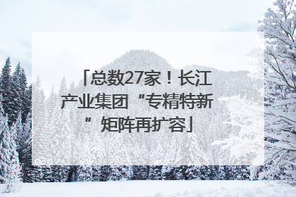 总数27家！长江产业集团“专精特新”矩阵再扩容