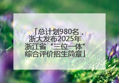 总计划980名，浙大发布2025年浙江省“三位一体”综合评价招生简章