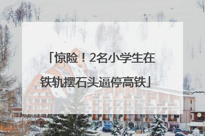 惊险！2名小学生在铁轨摆石头逼停高铁