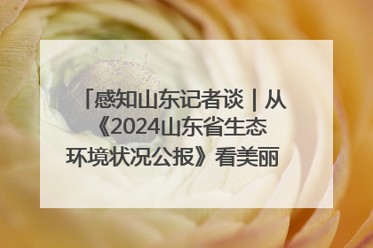 感知山东记者谈｜从《2024山东省生态环境状况公报》看美丽山东建设的“成绩单”与“任务书”