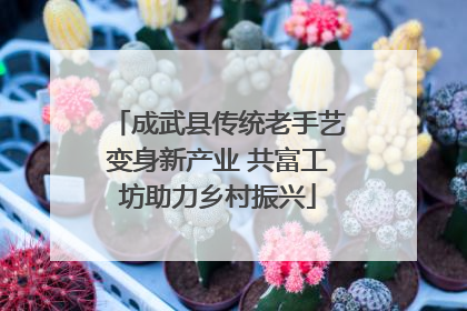 成武县传统老手艺变身新产业 共富工坊助力乡村振兴