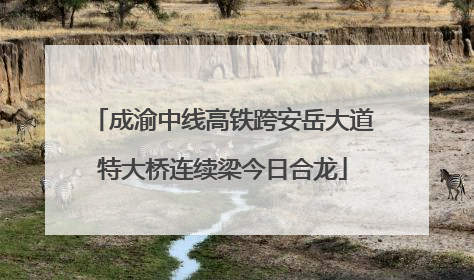 成渝中线高铁跨安岳大道特大桥连续梁今日合龙