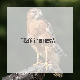 我的辽阳情结