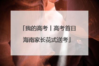 我的高考丨高考首日 海南家长花式送考