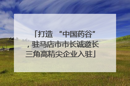 打造 “中国药谷”，驻马店市市长诚邀长三角高精尖企业入驻